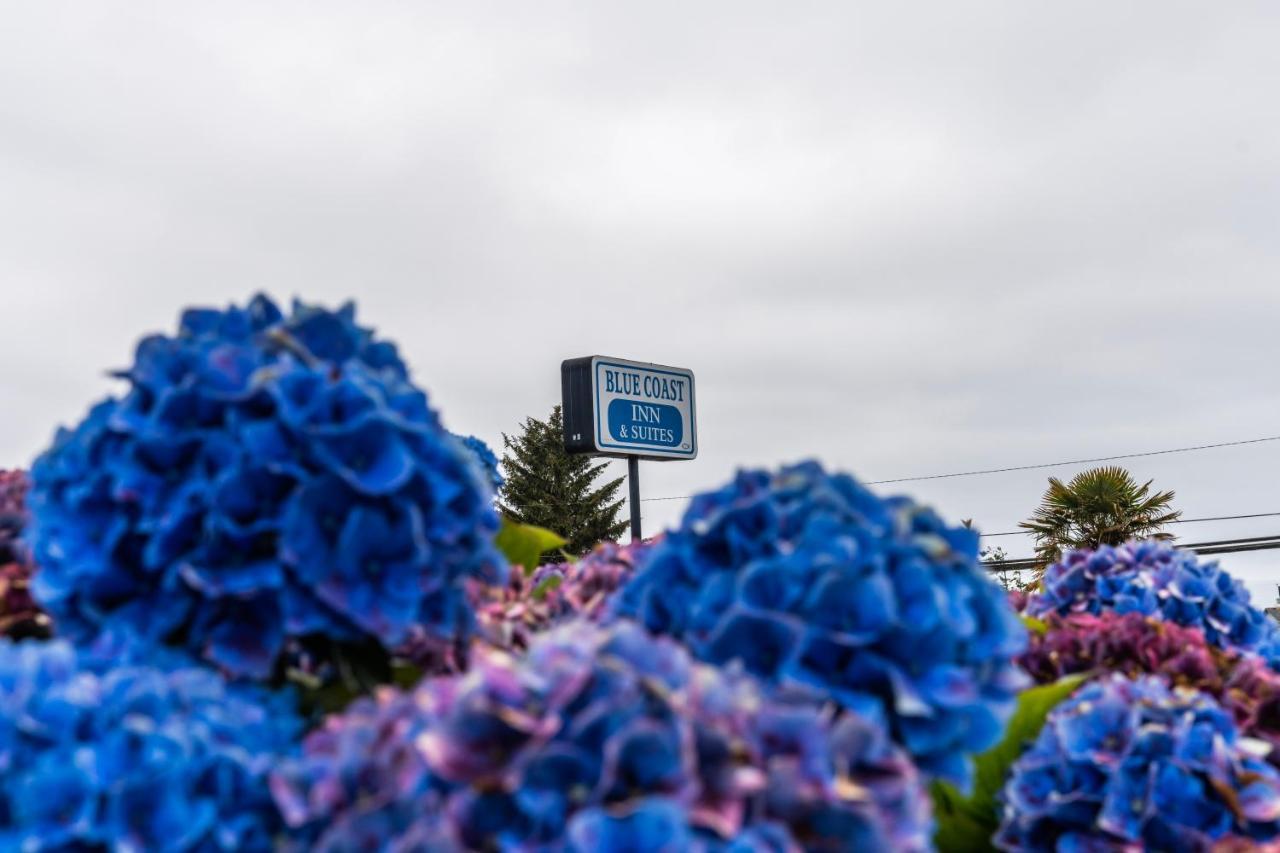 Blue Coast Inn & Suites Brookings Exterior foto